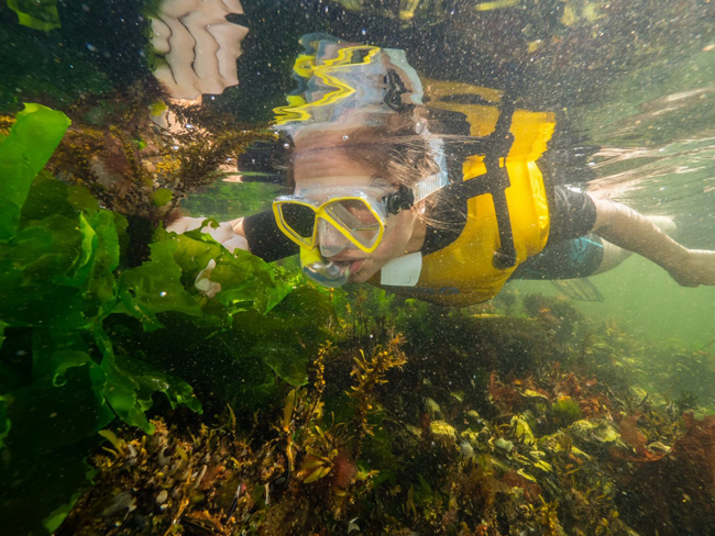 Met een snorkelvest blijf je vanzelf drijven in het water, richt je aandacht volledig op de wereld onderwater