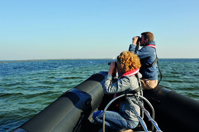 Op zoek naar zonnende zeehonden en genieten van een tocht over het Grevelingenmeer