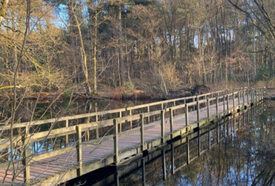 Prachtig natuurlijke landschappen voor een heerlijke wandel of fietstoch in Waalwijk