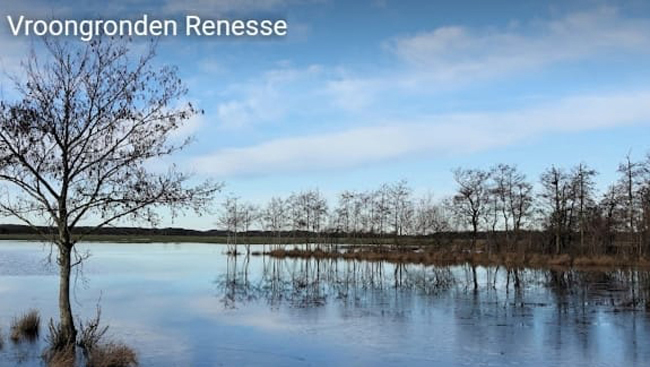 Vroongronden Renesse