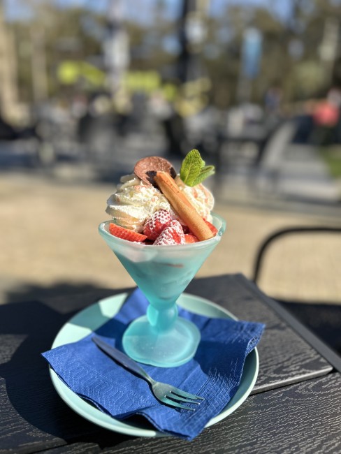 ijscoupe met aardbeien en slagroom op het terras van gasterij de grenshoeve