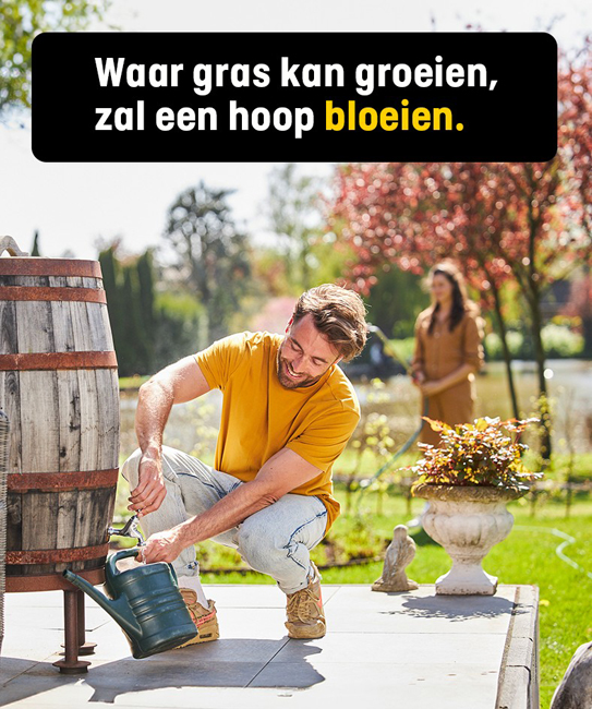 Hubo XL Bouwmarkt Serooskerke Gras bloeien