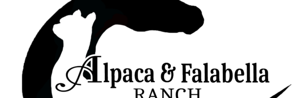 Alpaca & Falabella Ranch Rzadkiewa in omgeving Renesse