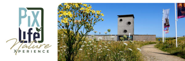 PiXLife Nature Xperience in omgeving Zeeland