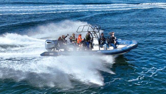 avontuurlijke tocht over de golven met rib safari brouwersdam ouddorp