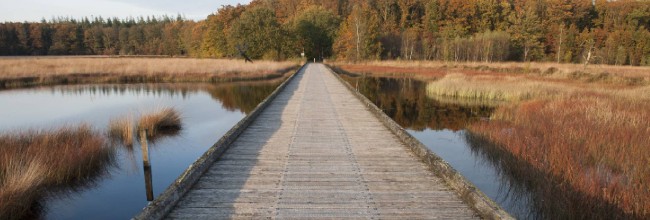 wandelpad natuurgebied herberg de loohoeve