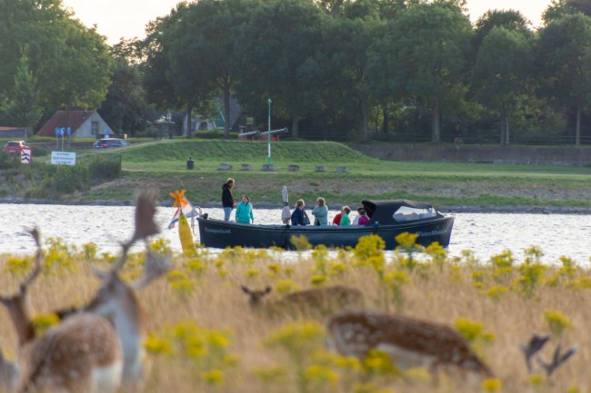 varen langs herten watermaas bootverhuur kamperland