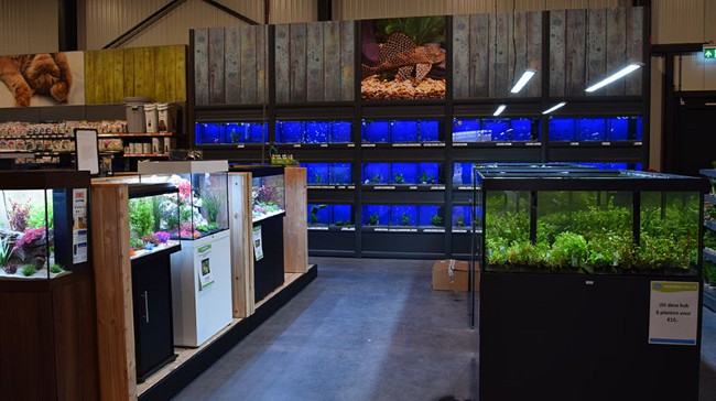 Breed assortiment diervoeding en snacks bij Animal Center Tilburg
