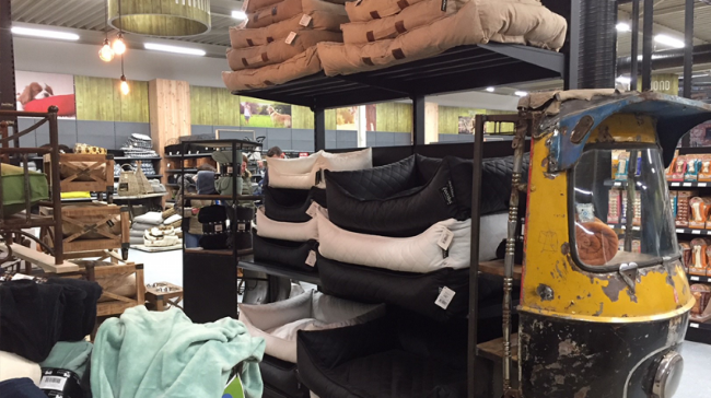 comfortabele hondenbedden en unieke decoratie bij animal center vught