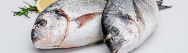 verse dorade voor de grill fierets vishandel sluis