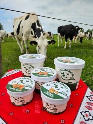 De Heerenhoeve Zuivelboerderij en IJssalon Oostburg – Ambachtelijk ijs en zuivelproducten met koeien in de wei