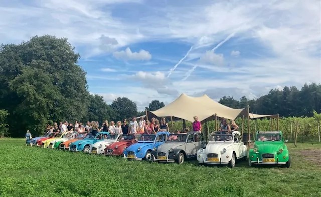 Groepsuitje met gekleurde Citroens 2CV van Eendje voor een dag in de natuur