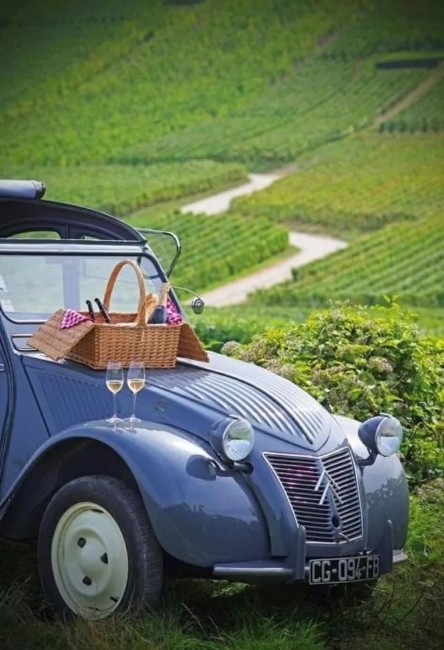 Romantische picknick met Citroen 2CV in de natuur met Eendje voor een dag