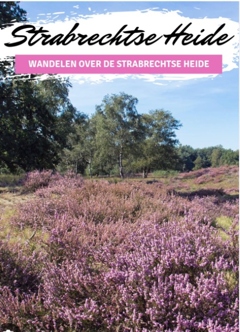 Strabrechtse Heide wandelen