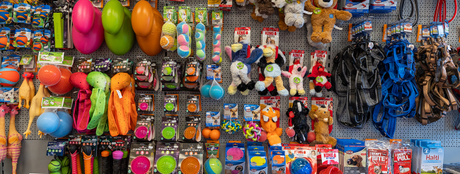 assortiment hondenspeelgoed aan de wand van howco dierenwinkel