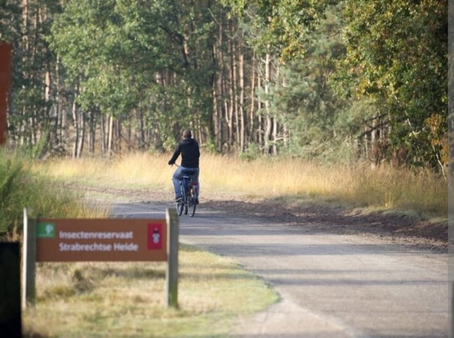 fietser in het insectenreservaat strabrechtse heide