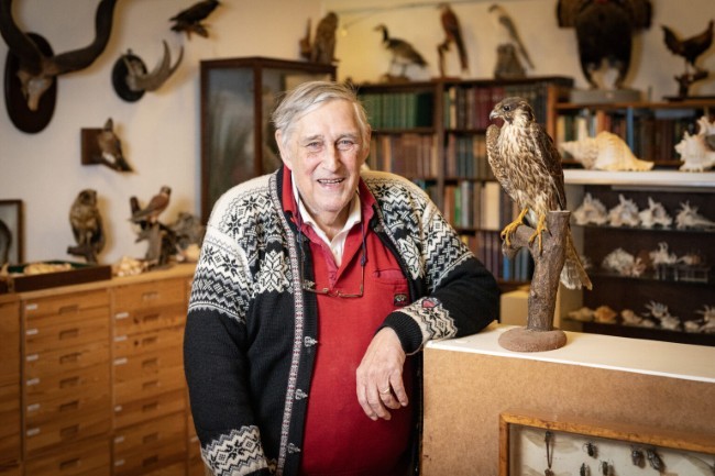 man in natuurhistorisch museum met opgezette vogels