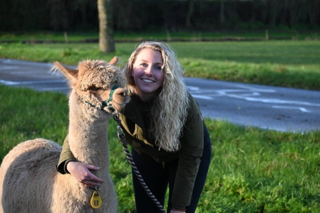 vrouw met alpaca op een zonnige dag in friesland