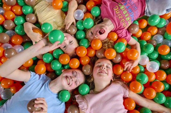 kinderen hebben plezier in de ballenbak monkey town