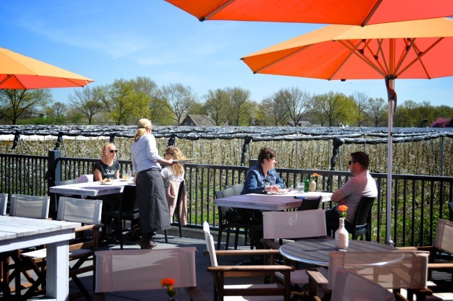 terras met zon en uitzicht op boomgaard bij hof van huijbers