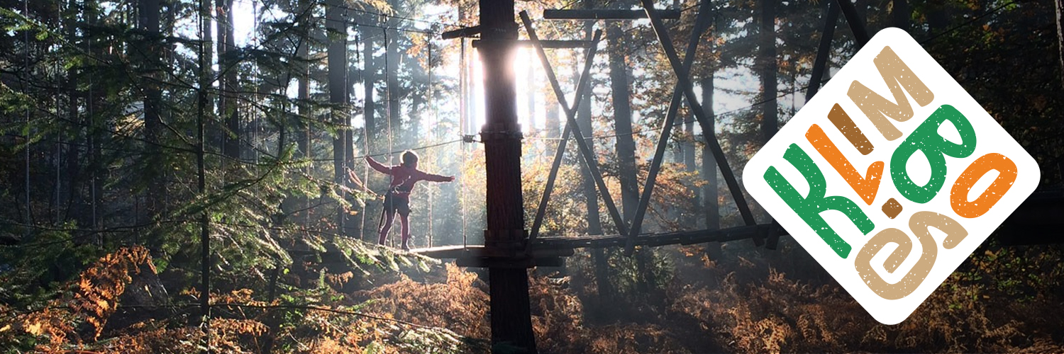 Klimbos Lage Vuursche in omgeving Lage Vuursche, Utrecht