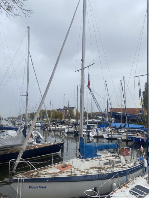 terras van het majoortje aan de haven