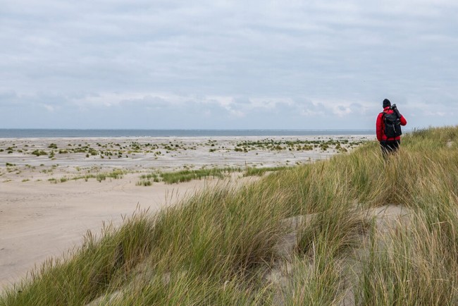 wandelen met een gids bij paviljoen de duinrand