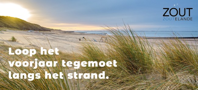 strand zoutelande voorjaar duinen wandelen