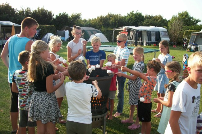 kinderen marshmallows kampvuur boerencamping
