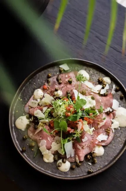 verfijnde carpaccio met frisse kruiden bij kaai 23 brielle