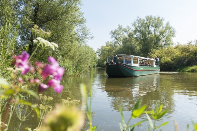 rondvaart door groene natuur met zilvermeeuw