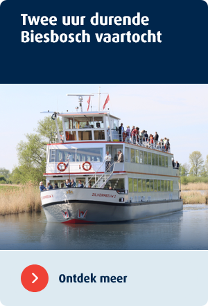 twee uur durende biesbosch vaartocht zilvermeeuw