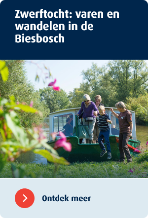 zwerftocht varen en wandelen biesbosch zilvermeeuw